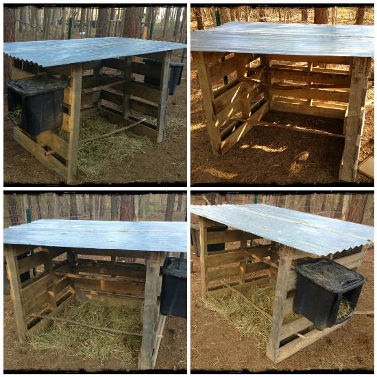 Judys Free Pallet Chicken Coop Backyard Chickens