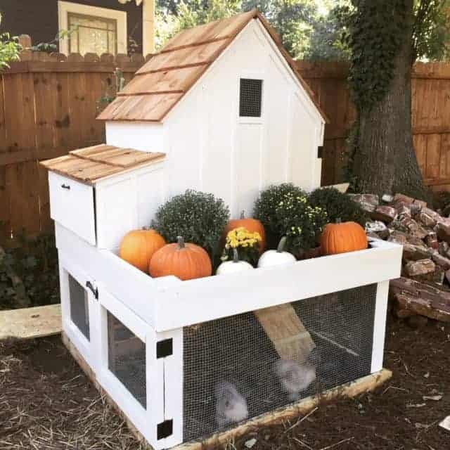 Building a chicken brooder house