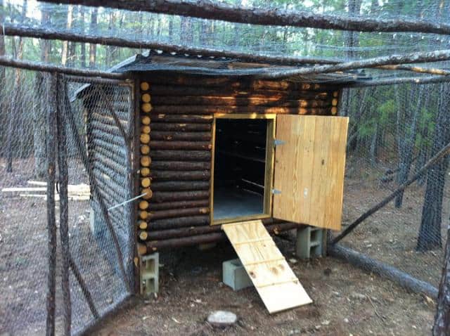 55+ DIY Chicken Coop Plans For Free