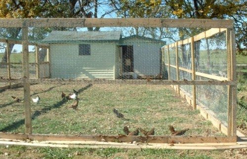 Pallet Chicken Coop Diy Chicken Coop Summers Acres