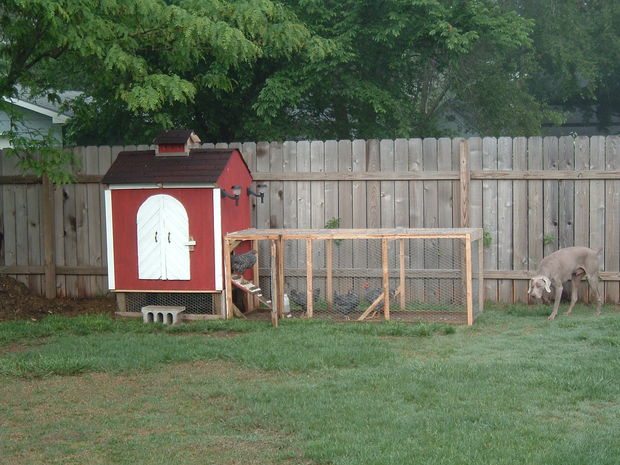 diy chicken coop plans