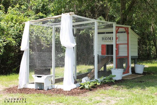 diy chicken coop plans