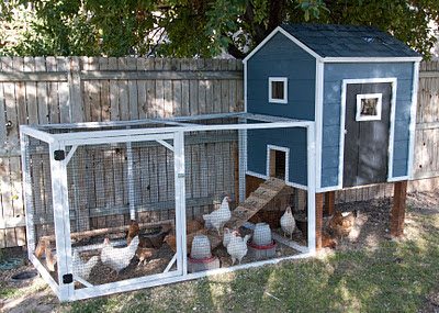 diy chicken coop plans 