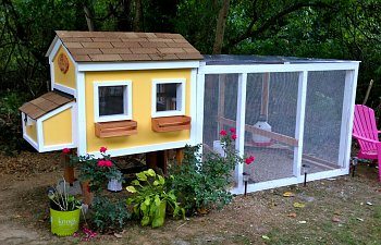 diy chicken coop plans