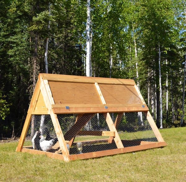 diy chicken coop plans