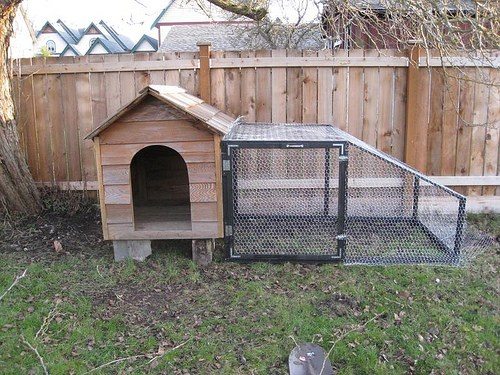 55+ DIY Chicken Coop Plans For Free | Pampered Chicken 