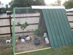 diy chicken coop plans