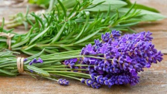 5 Minute Hack to Dry More Herbs Faster!