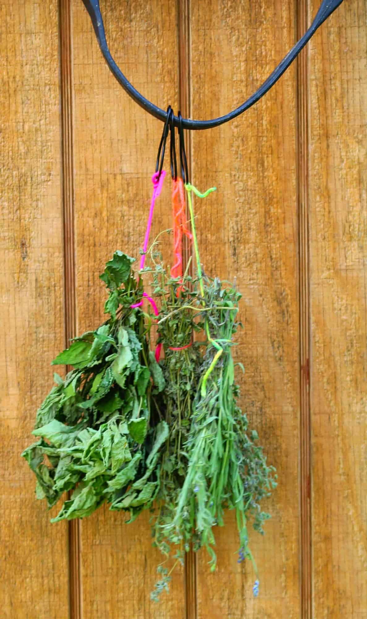 5 Minute Hack to Dry More Herbs Faster!