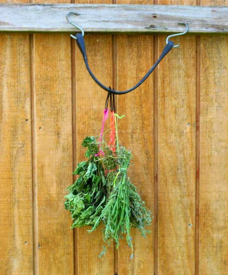 5 Minute Hack to Dry More Herbs Faster!