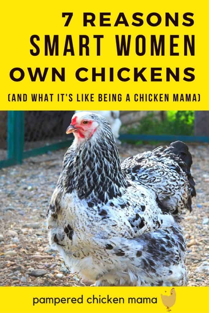 12 Types Of Chickens Smart People Keep