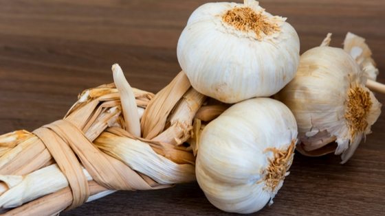 how to store garlic long term #garlic