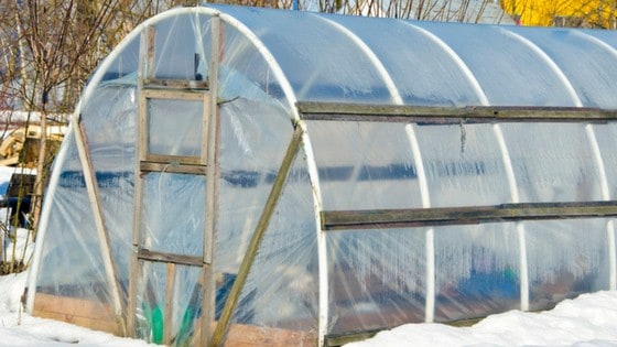 Want to grow lettuce but don't know hoe to heat a greenhouse in winter? Here's beginner gardening ideas!