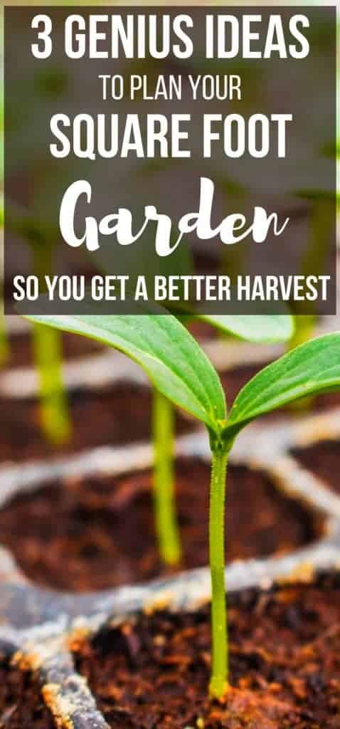 Want an easy square foot gardening for beginners resource and square foot gardening plant spacing ideas? These are 3 genius ideas for square foot gardening plans and square foot gardening layout ideas! 