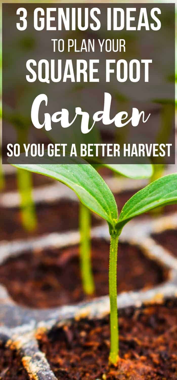 square foot garden plant spacing pinterest | Pampered Chicken Mama