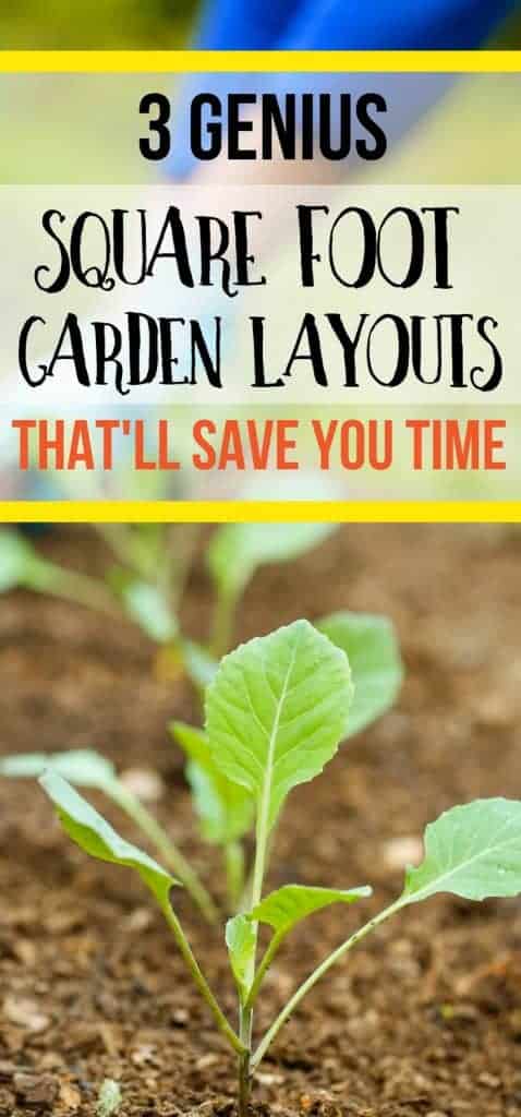 Here's 3 genius square foot gardening layouts that are perfect for raised beds. Square foot gardening for beginners just got easier!