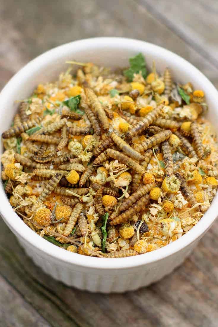 Chamomile & Black Soldier Fly Larvae “Granola” for chickens