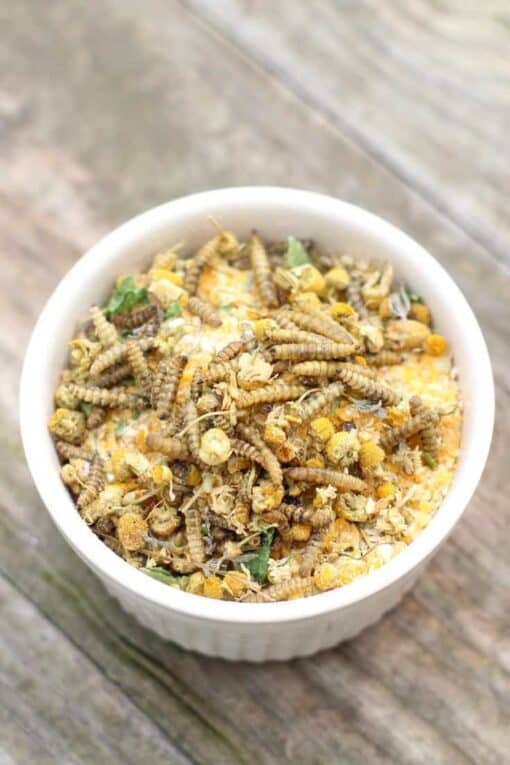 4 Ingredient Chamomile & Black Soldier Fly Larvae “Granola” Pampered