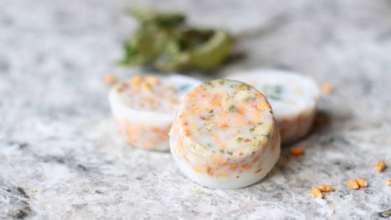 Wheat Berry & Lemon Balm Happy Tummy Treats