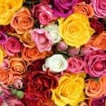 5 Genius Mother’s Day Gardening Gifts You’ve Never Thought Of