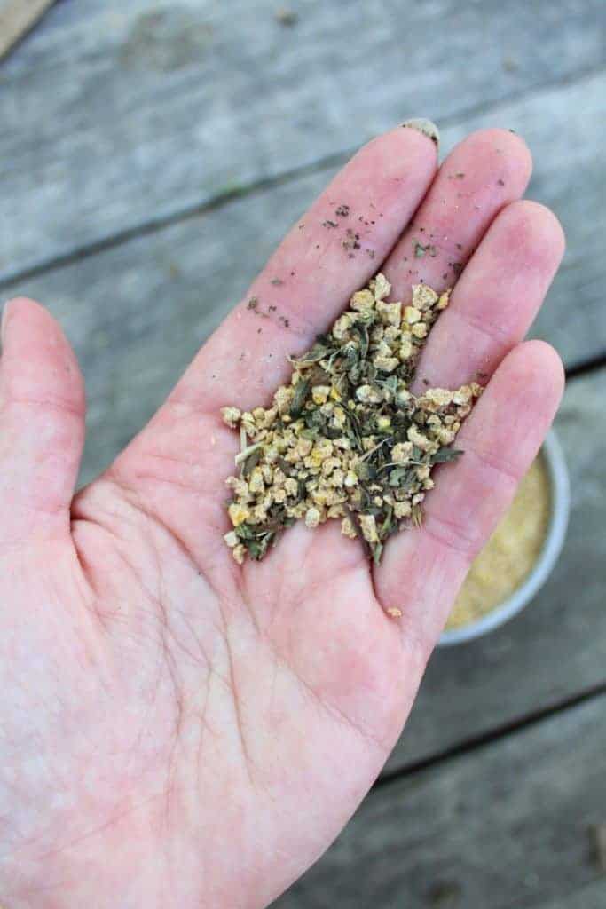 dried lemon balm Ways To Keep Flies, Gnats, And Mosquitoes Off Your Chickens