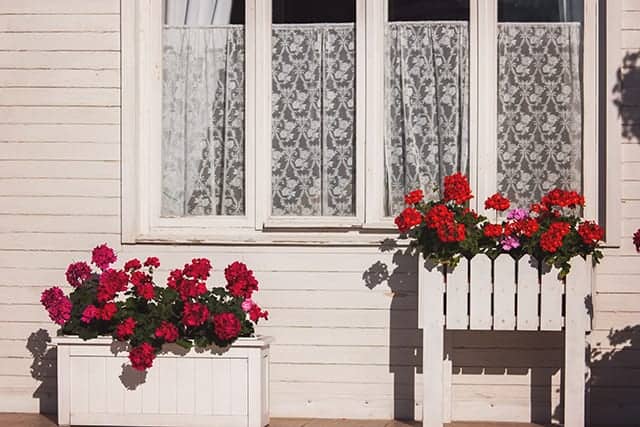 Adorable Window Box Ideas For Your Coop Pampered Chicken Mama