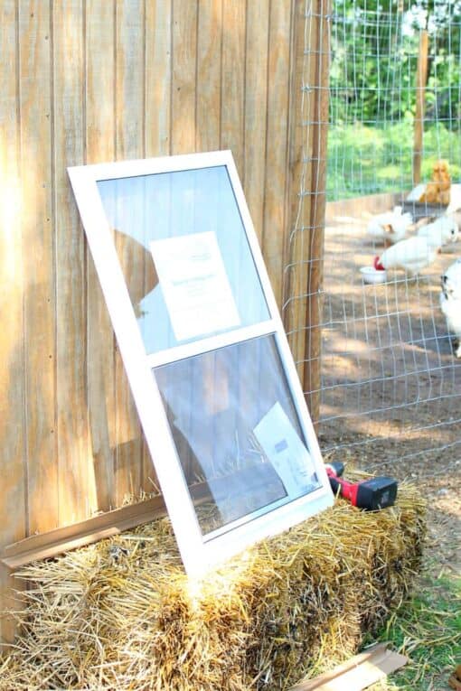 Hot Chicken Coop? Add Windows With This DIY Tutorial!