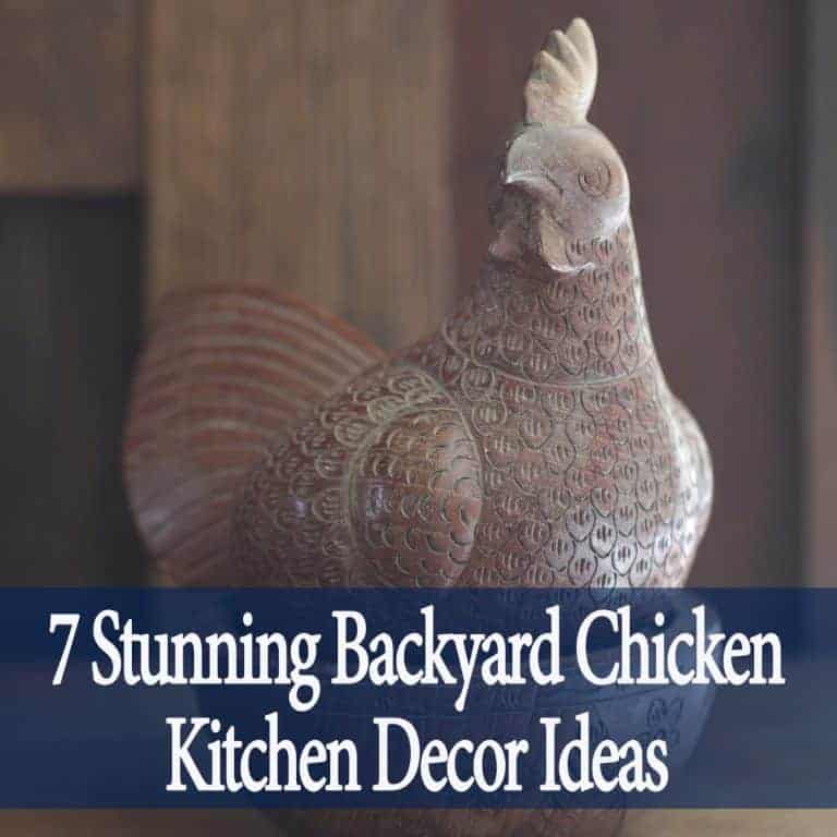These Backyard Chicken Kitchen Decor Ideas Are Everything