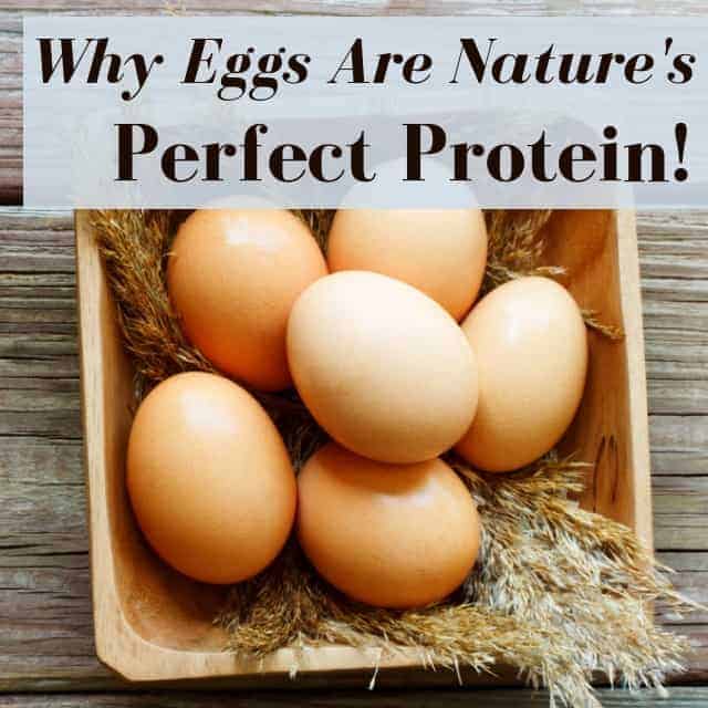 Why Eggs Are Nature’s Perfect Protein Source