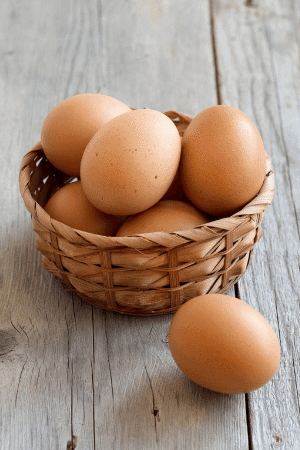 brown plymouth rock chicken eggs