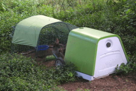 Green Eglu Go Chicken Coop