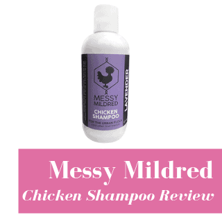 We Tested Messy Mildred Chicken Shampoo. Here’s What Happened!