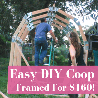 Easy & Cheap DIY Chicken Coop Build