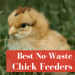 No Waste Baby Chick Feeders