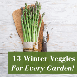 13 Best Winter Vegetables To Grow: Ultimate Guide