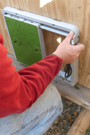 automatic coop door install