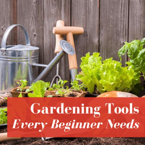 Picture of 13 Organic Gardening Supplies Every Woman Needs