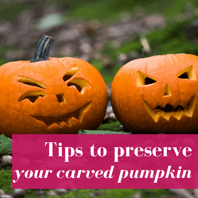 Preserving Carved Pumpkins