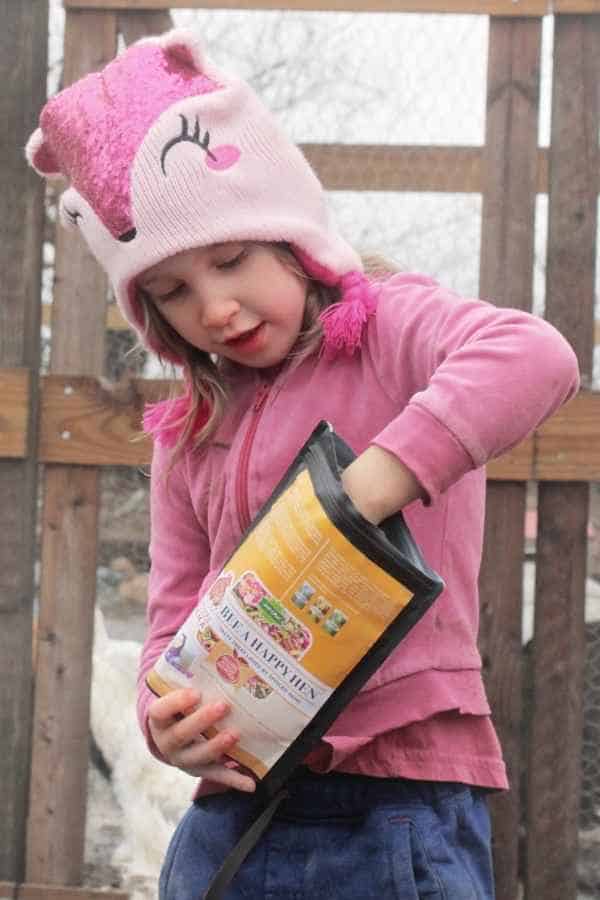 Hand Feeding Chickens