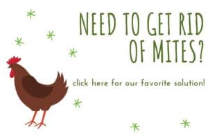 Chicken Mites: Fast & All Natural Solutions