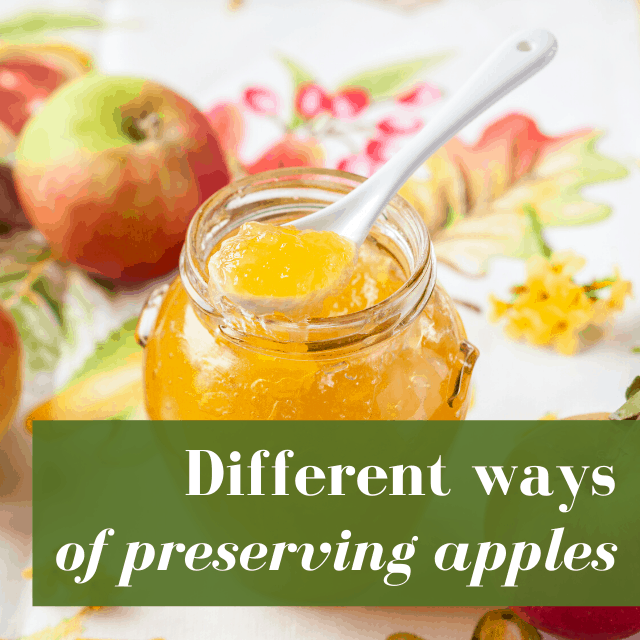18 Different Ways To Preserve Apples
