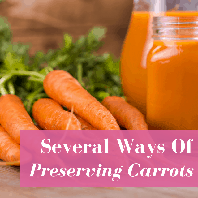 9 Genius Ideas to Preserve Carrots