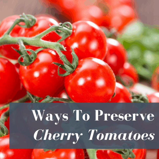 10 Ways To Preserve Cherry Tomatoes