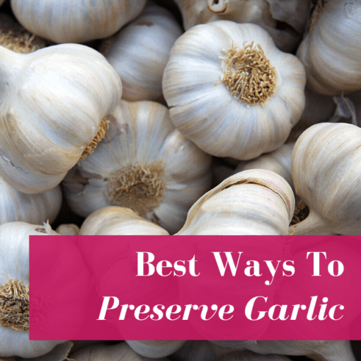How To Store Garlic Long Term