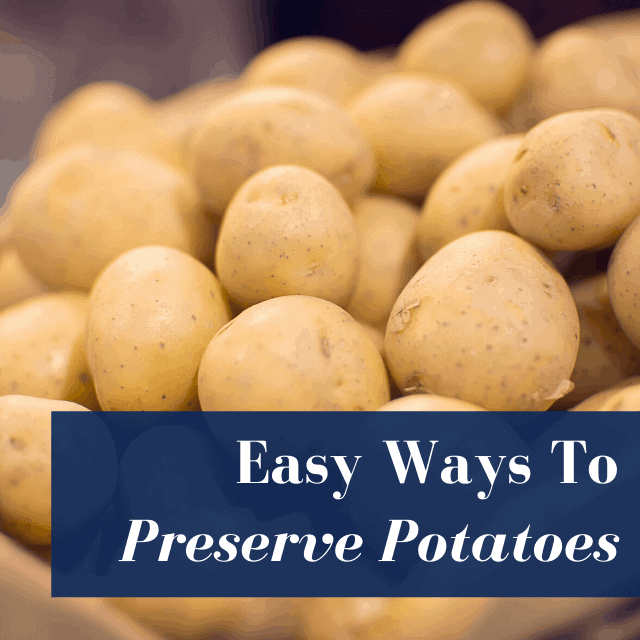 6 Ways To Preserve Potatoes