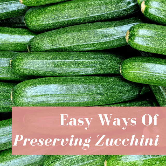 6 Simple Ways To Preserve Zucchini