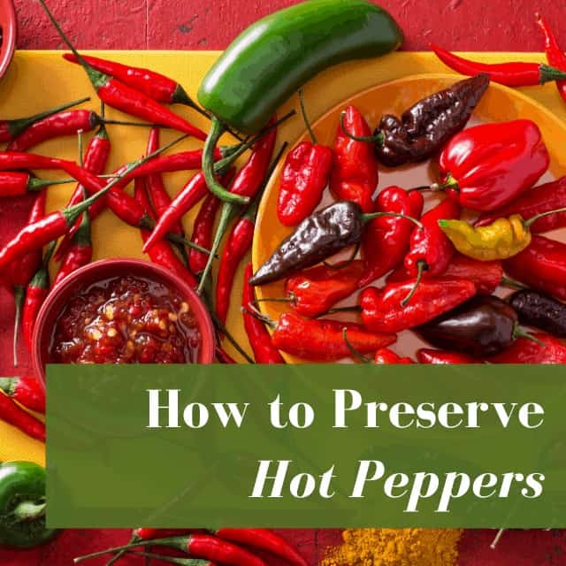 Tips for Preserving Hot Peppers FI | Pampered Chicken Mama: Raising ...