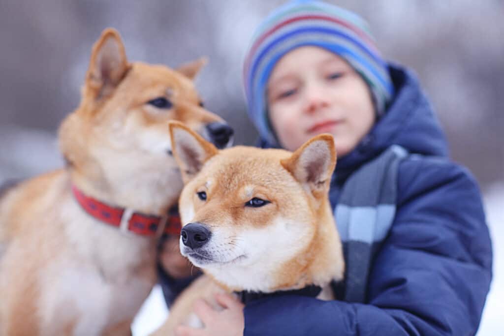 boy with pets