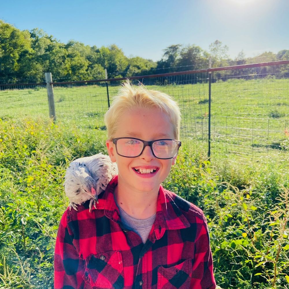 Boy in chicken run with bantam chicken perched on his shoulder