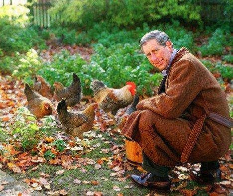King Charles with chickens